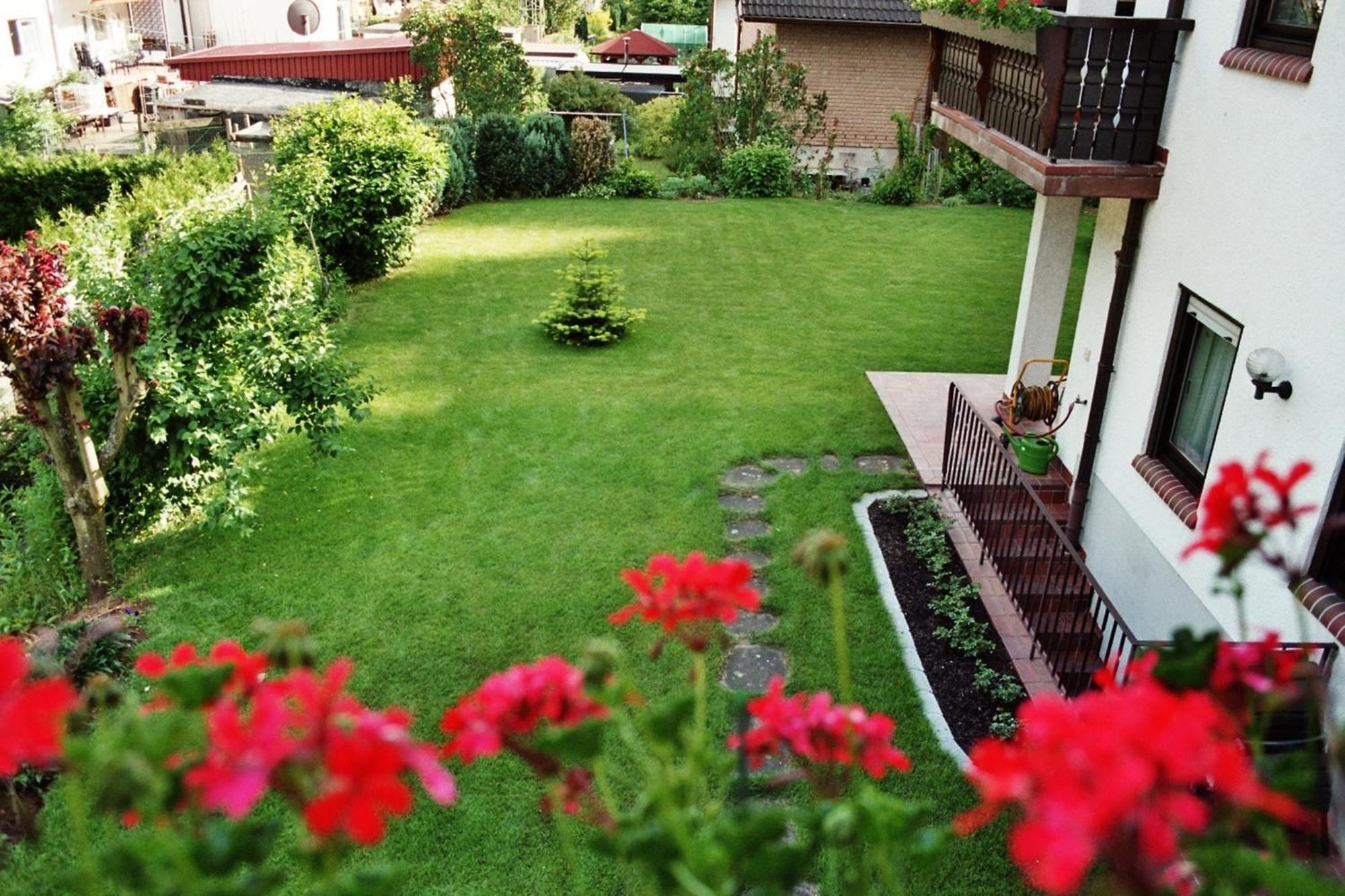 Ferienwohnungen Im Herzen Des Pfaelzerwaldes Elmstein Habitación foto